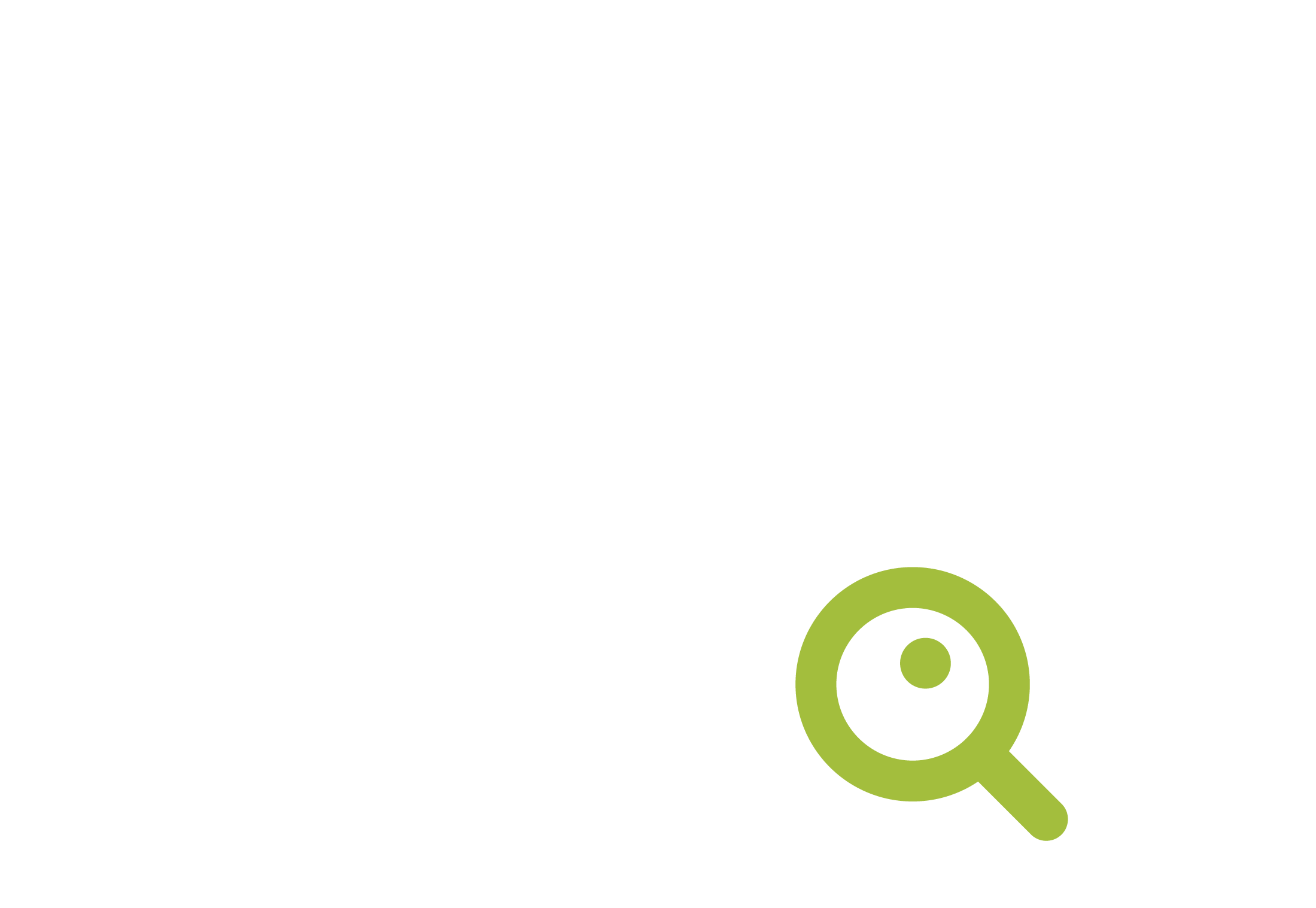 Website Designer